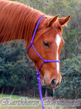 Standard halter,PURPLE you choose size