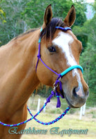 Sliding chin riding halter with V brow, Purple/turquoise