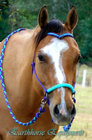 Sliding chin riding halter with V brow, Purple/turquoise